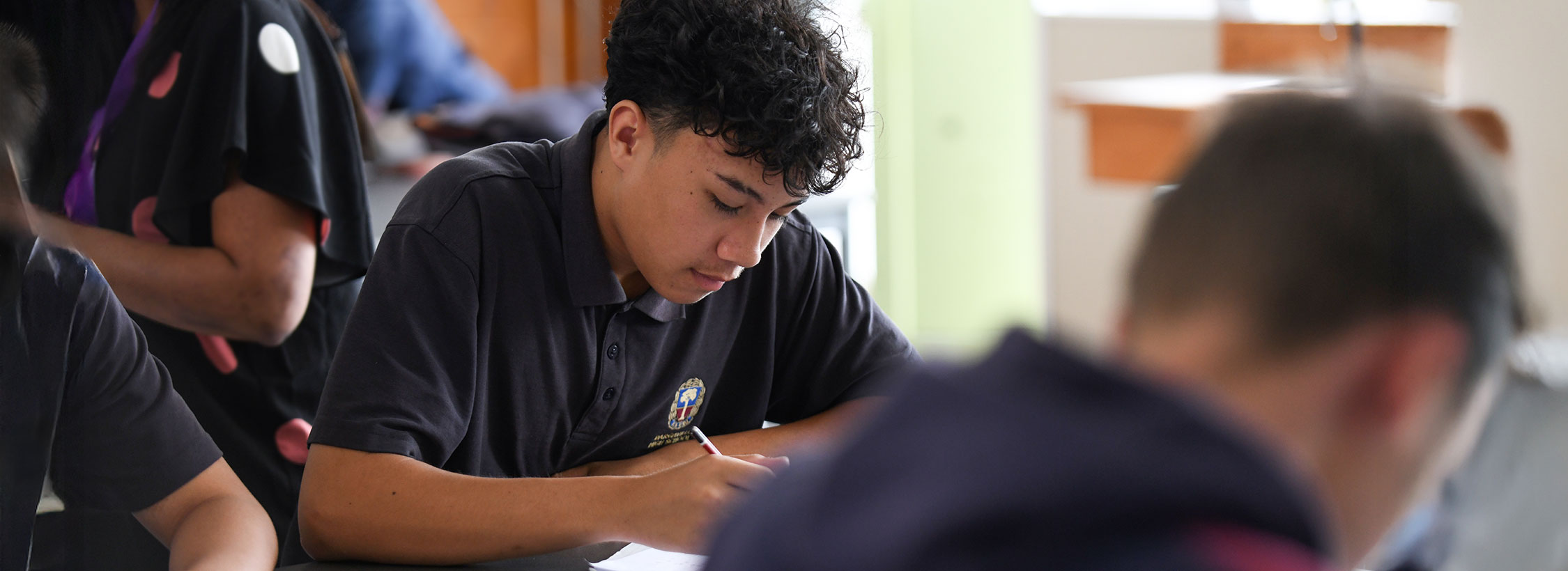 Dargaville High School exams