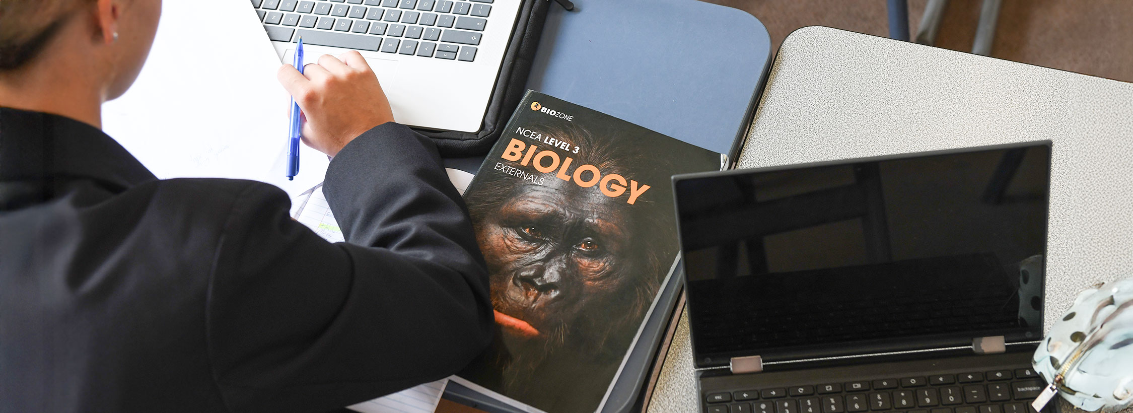 Dargaville High School Subjects